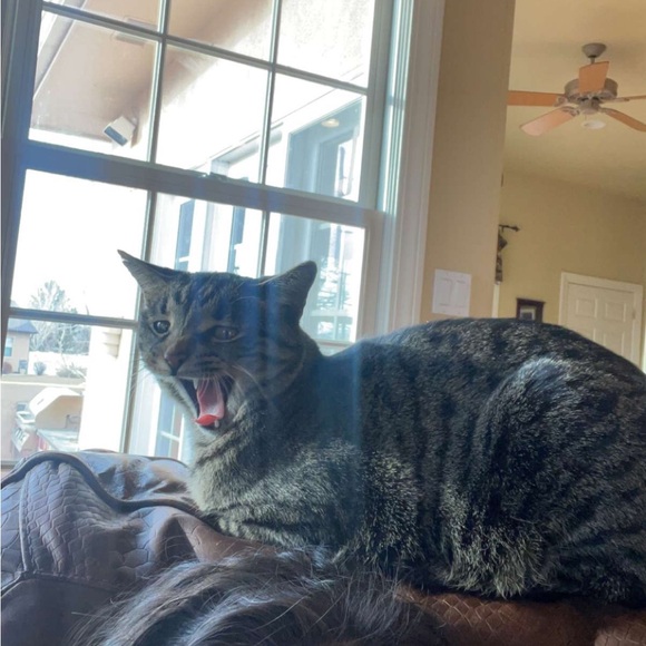 Meet your Posher, Jennings - Picture 1 of 1